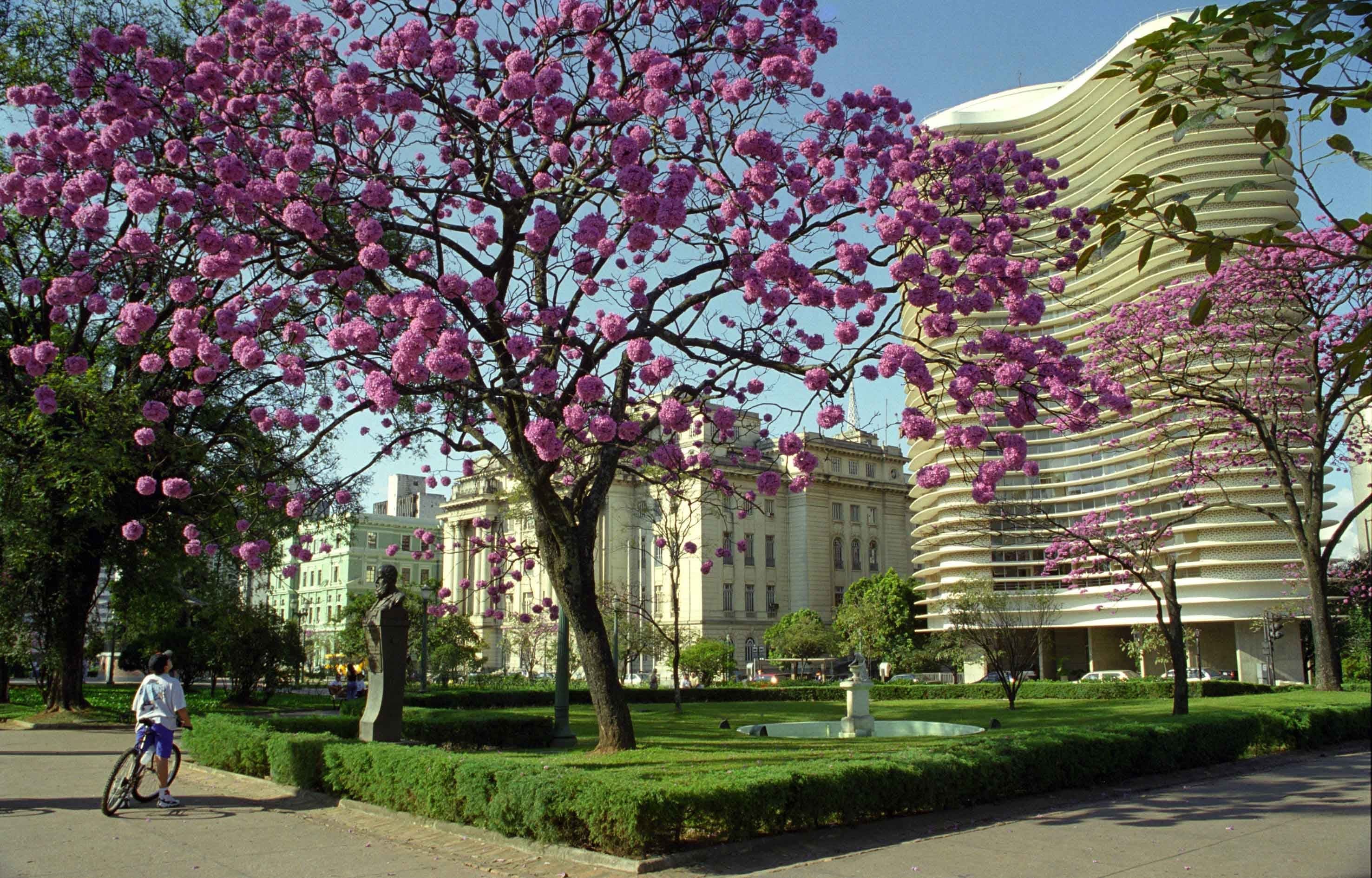 Belo Horizonte 